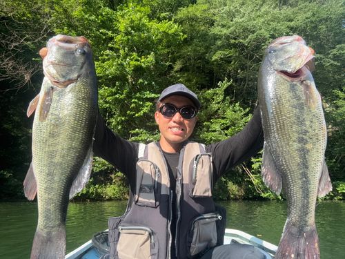 ブラックバスの釣果