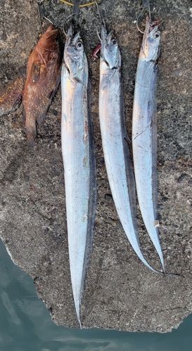 釣果