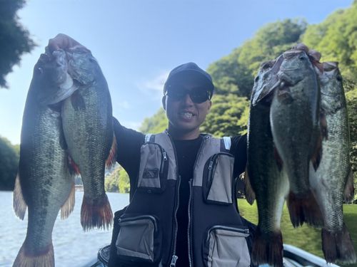 ブラックバスの釣果