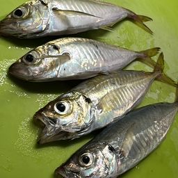 アジ