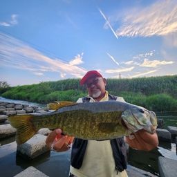 スモールマウスバス