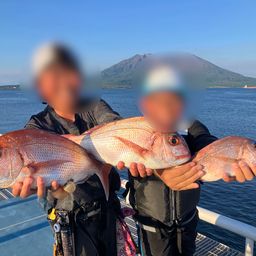 マダイ