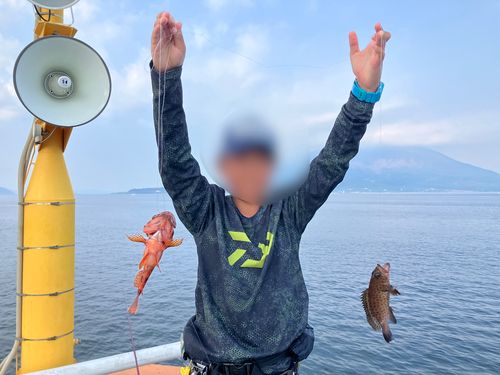 アラカブの釣果