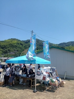 イサキの釣果