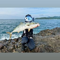 ブリ