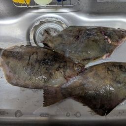 ソウハチ