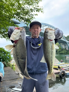 ブラックバスの釣果