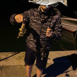 タケノコメバル