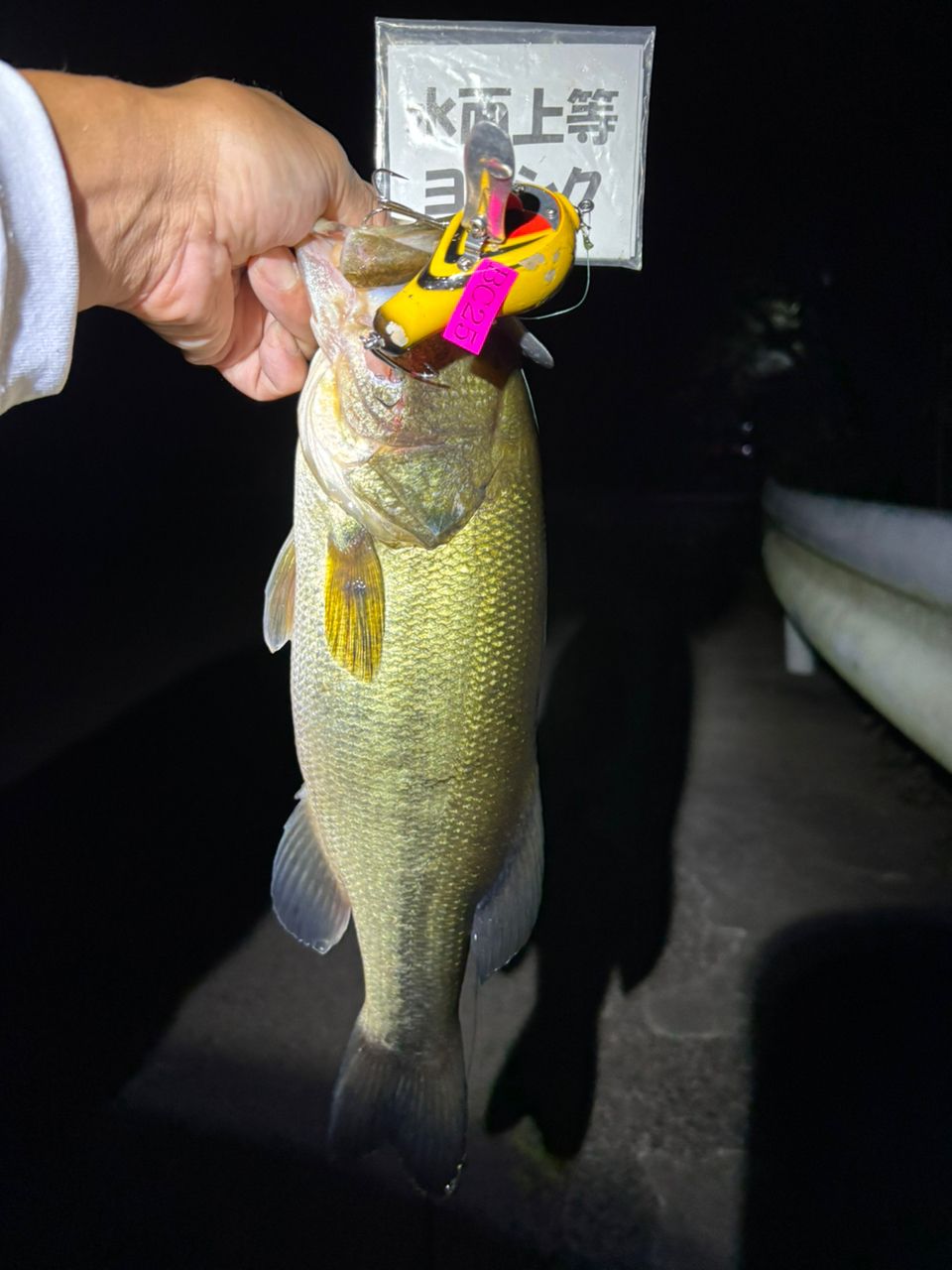 ラージマウスバス