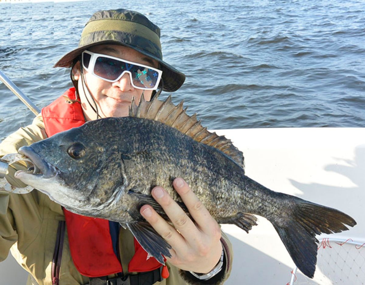 シーバス船シーホース　ウッチー船長さんの釣果 2枚目の画像