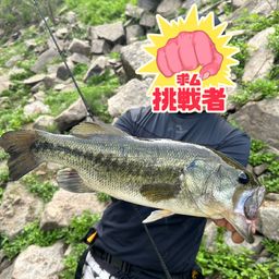 ブラックバス