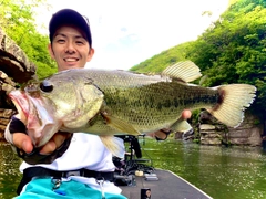 ブラックバスの釣果