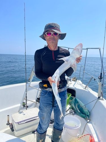 シロアマダイの釣果