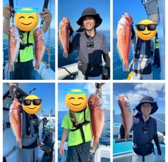 アカアマダイの釣果