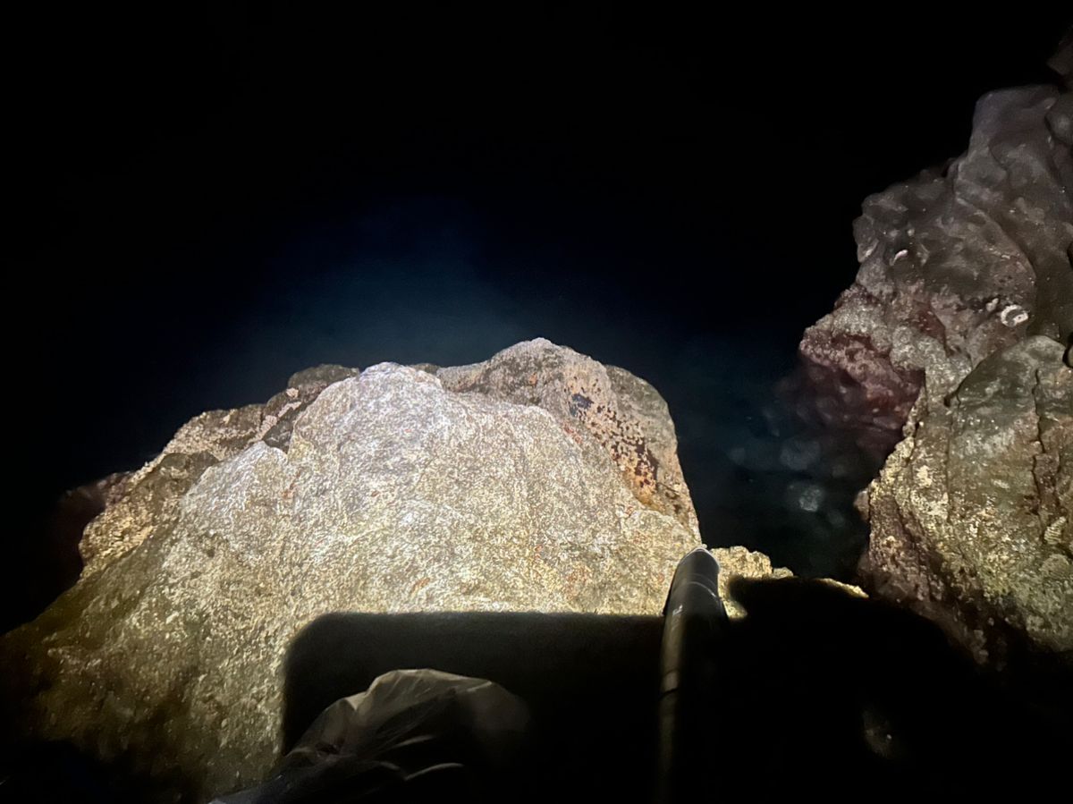 まつムーチョさんの釣果 2枚目の画像