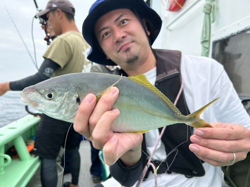 シマアジの釣果