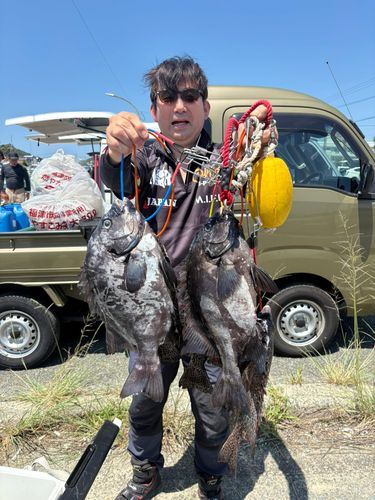 イシダイの釣果