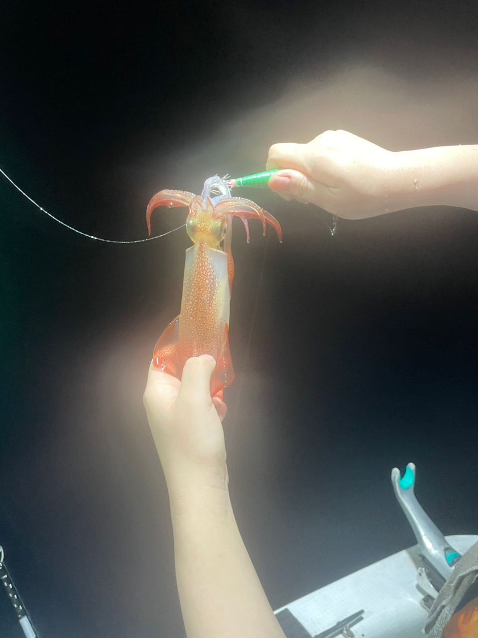 田畑良朗@なつき丸さんの釣果 3枚目の画像