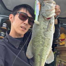 ブラックバス