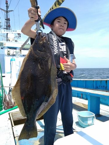 ヒラメの釣果
