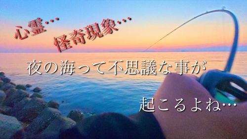 キジハタの釣果