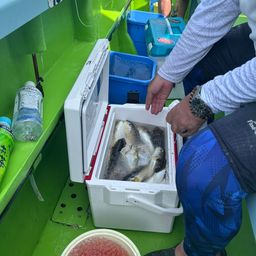 ショウサイフグ