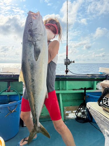 カンパチの釣果