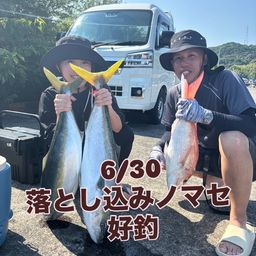マダイ