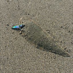 シタビラメ