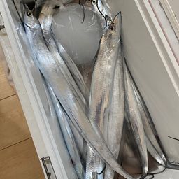 タチウオ