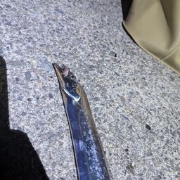 タチウオ