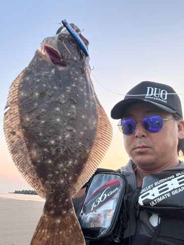 ヒラメの釣果