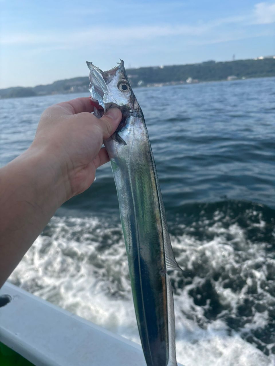 アキ130さんの釣果 2枚目の画像