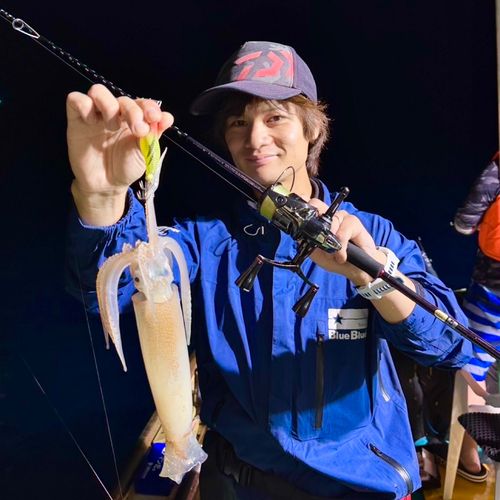 スルメイカの釣果