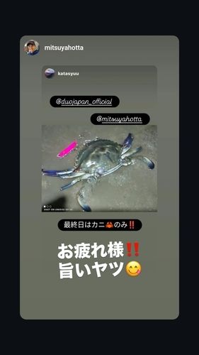 エイの釣果