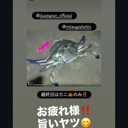 エイ