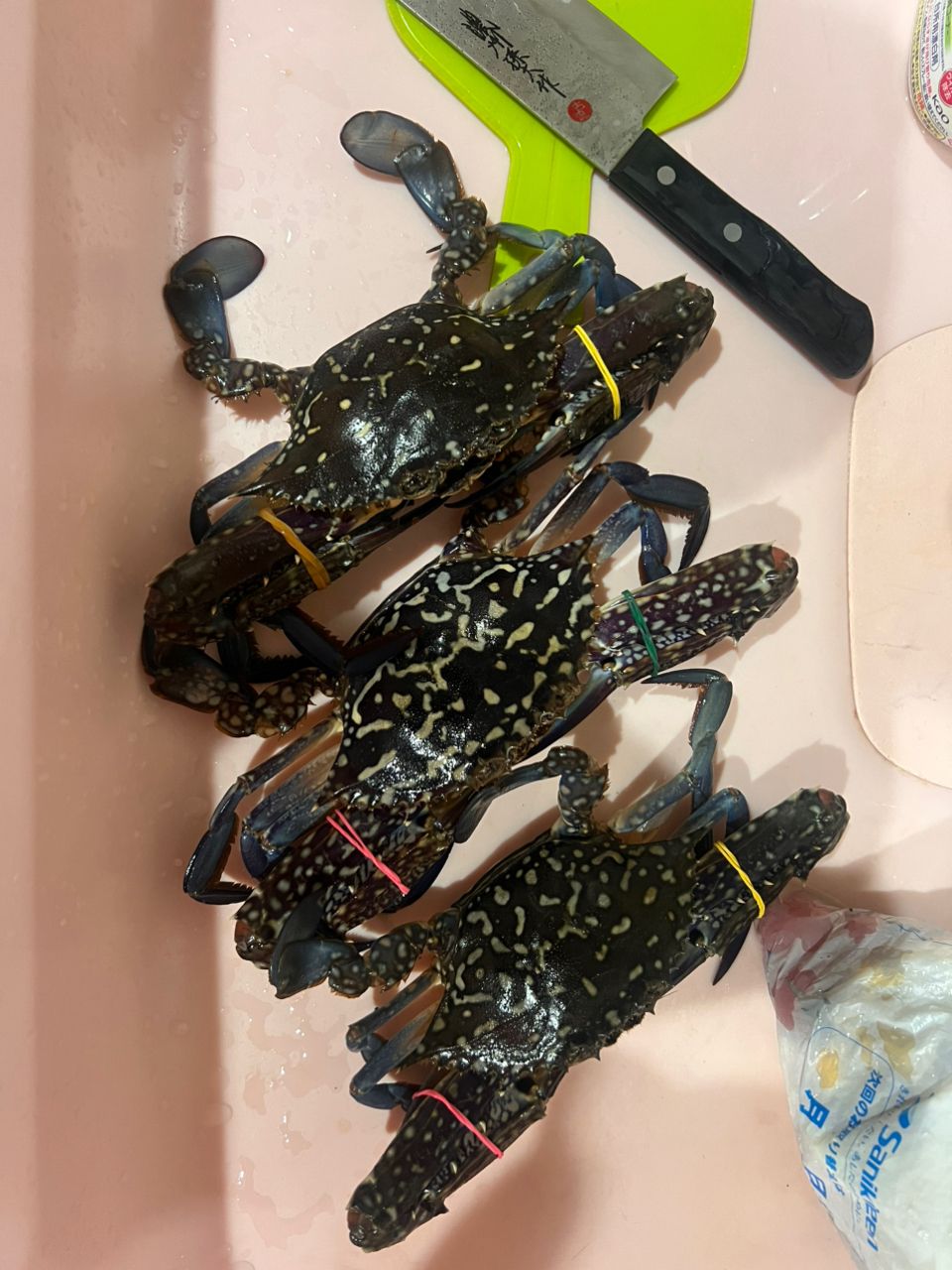 タイワンガザミ