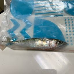 サバ