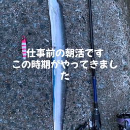 タチウオ