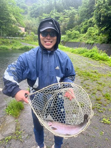 レインボートラウトの釣果
