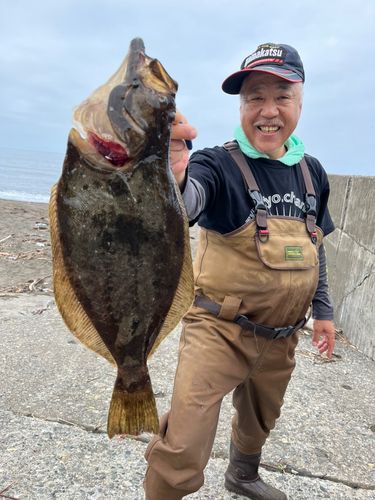 ヒラメの釣果