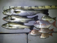 釣果