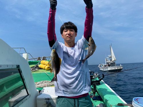 イサキの釣果