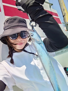 タチウオの釣果