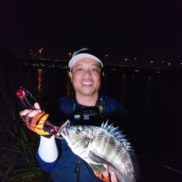 クロダイ