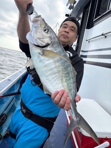 シマアジの釣果