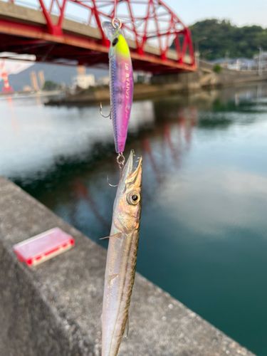 釣果