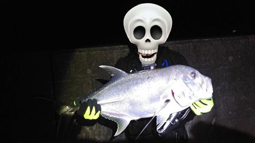 ロウニンアジの釣果