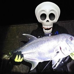 ロウニンアジ