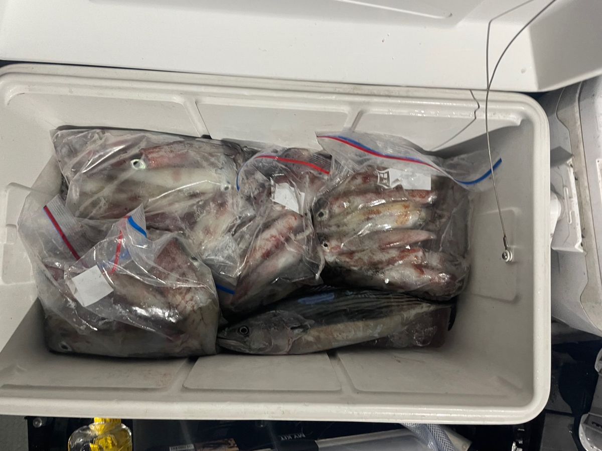 田畑良朗@なつき丸さんの釣果 2枚目の画像